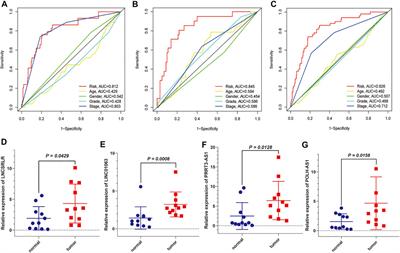 Construction and Validation of a Ferroptosis-Related lncRNA Signature as a Novel Biomarker for Prognosis, Immunotherapy and Targeted Therapy in Hepatocellular Carcinoma